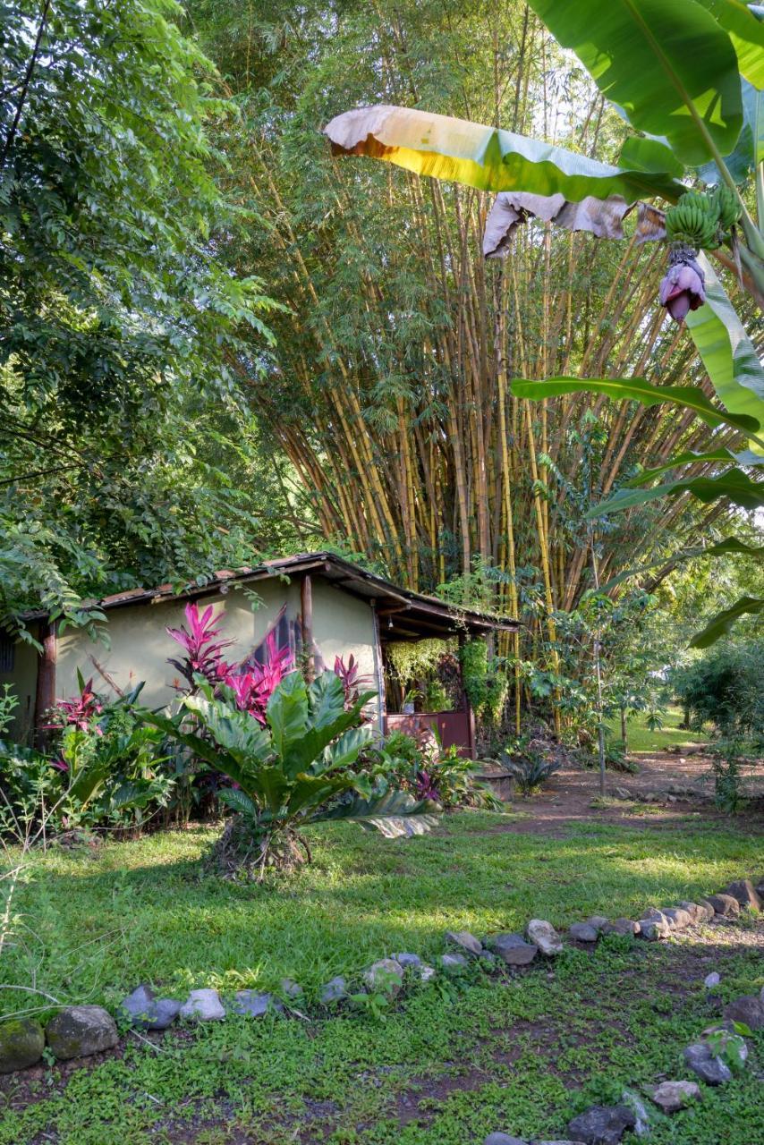 Ecovital Costa Rica Jaco Exterior photo