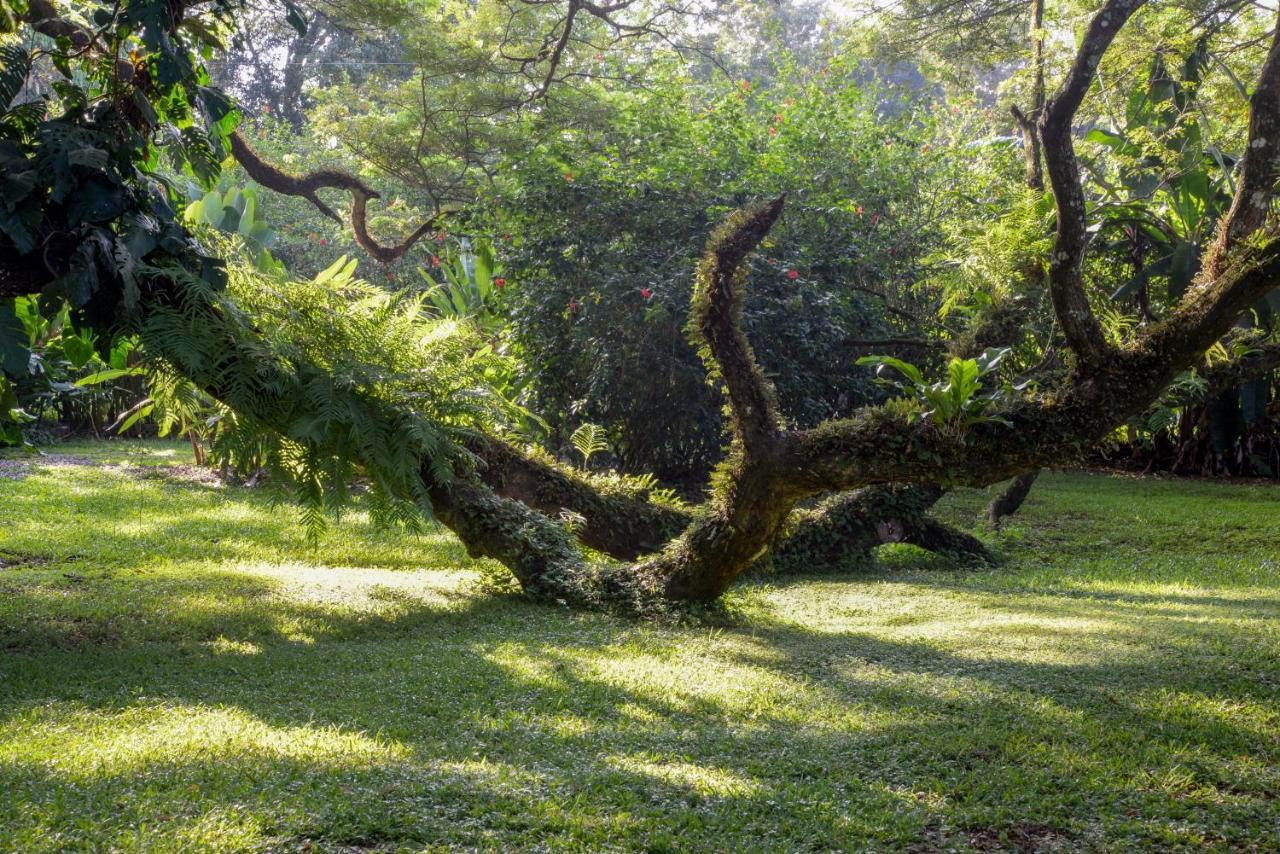 Ecovital Costa Rica Jaco Exterior photo